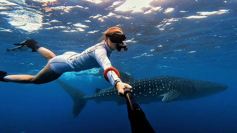 Dhigurah Island beach with white sand, clear water, and boats ready for whale shark excursions