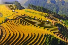 Vietnam-honeymoon-tour-packages Vietnam-honeymoon-tour-packages